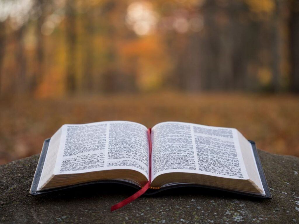 Czytania na ślub z Biblii